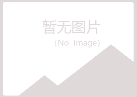 偃师宿命机械有限公司